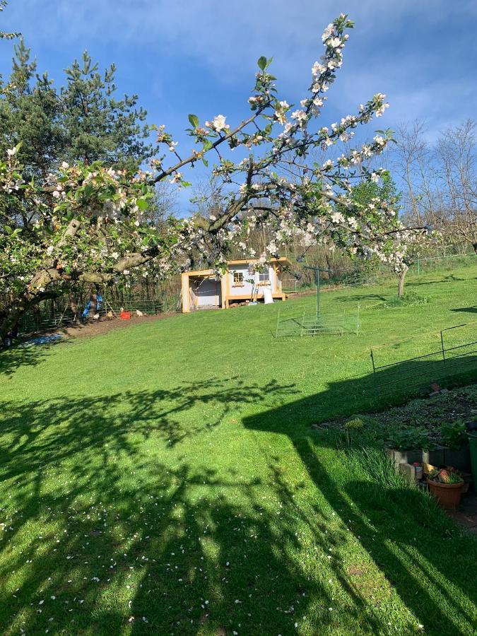 Appartement Marmelada *
