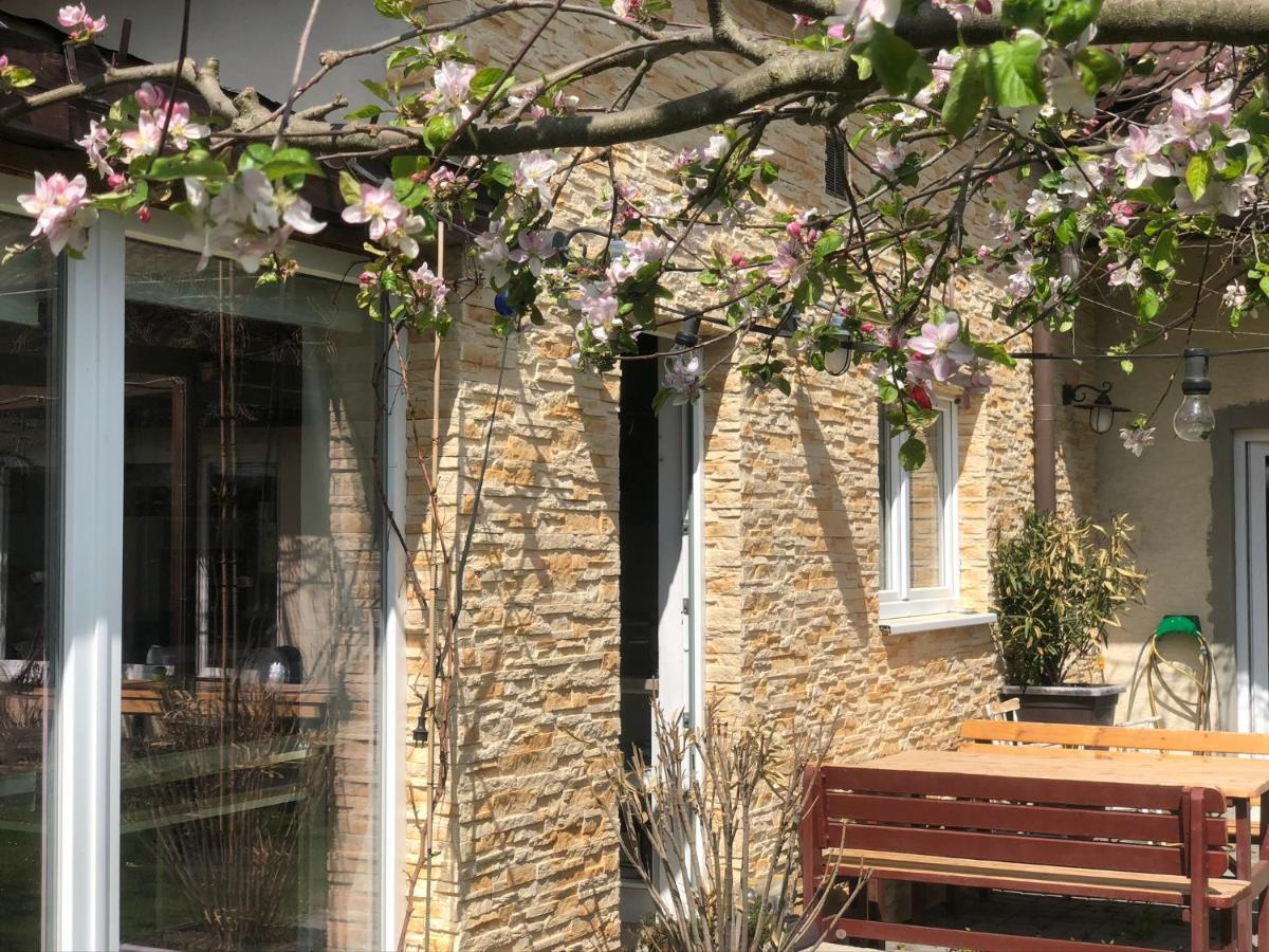 Apartment Marmelada